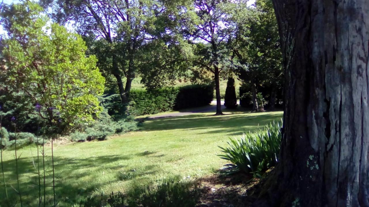 Bed and Breakfast Les Barrerres Hontanx Екстер'єр фото